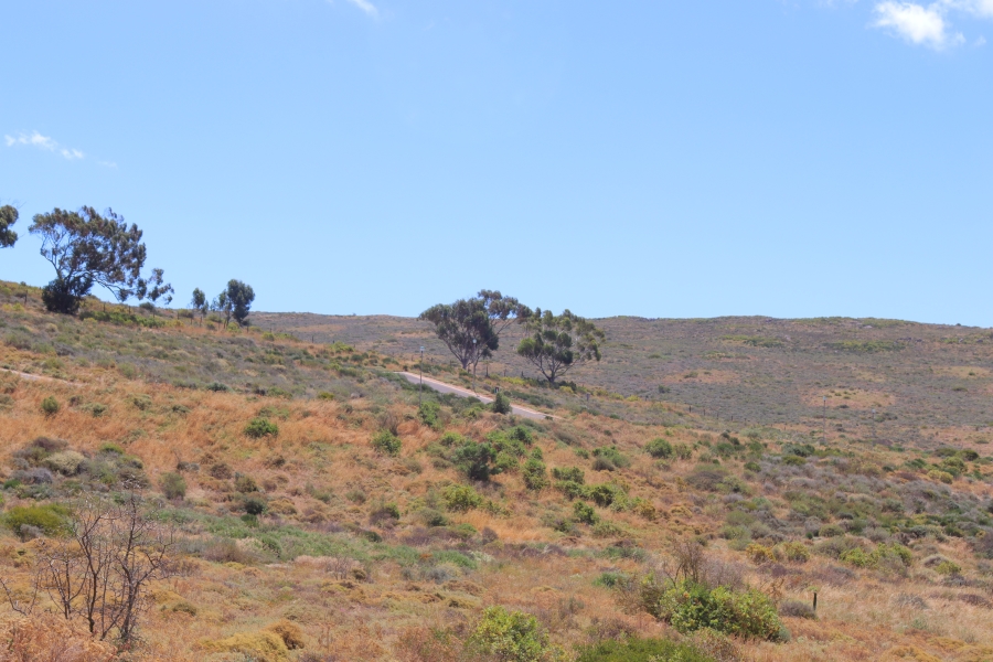 0 Bedroom Property for Sale in St Helena Views Western Cape
